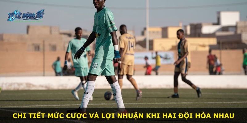 Chi tiết mức cược và lợi nhuận khi hai đội hòa nhau